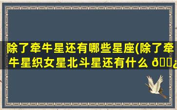 除了牵牛星还有哪些星座(除了牵牛星织女星北斗星还有什么 🌿 星)